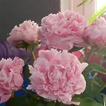 ホテル オテル ロランジェリー