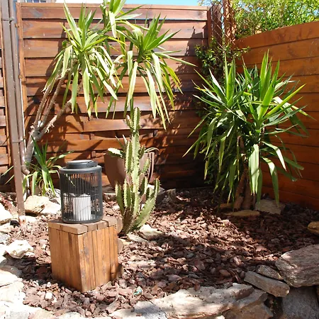 L'orangeraie Le Lavandou