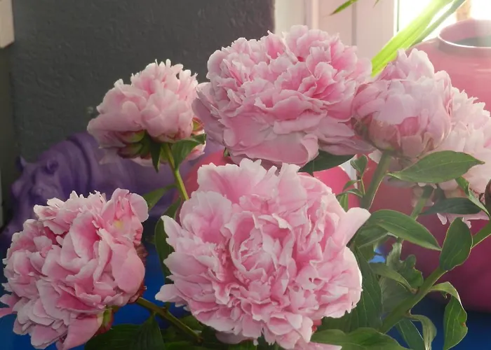 Ξενοδοχείο L'orangeraie