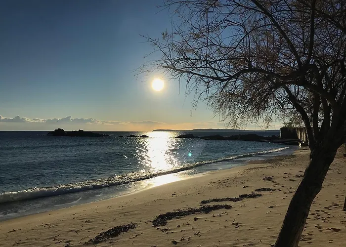 Szálloda L'orangeraie Le Lavandou